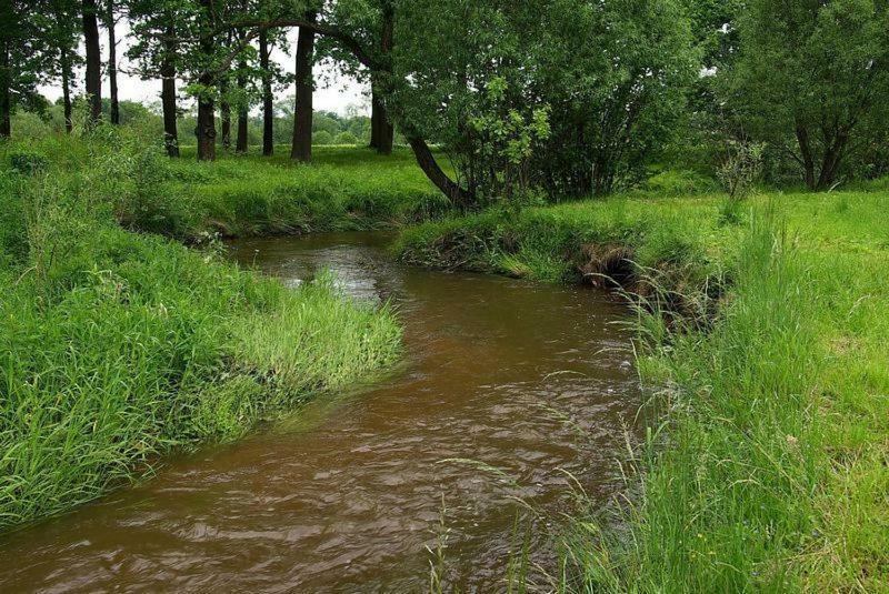 Karpnicka Struga W Dolinie Palacow I Ogrodow Jelenia Góra Exterior foto